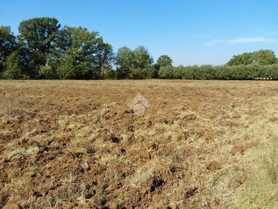 TER. AGRICOLO A CASTROCIELO