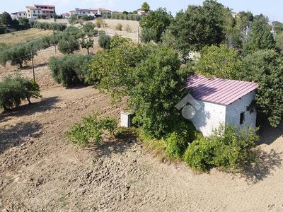 TER. AGRICOLO A MOSCIANO SANT'ANGELO