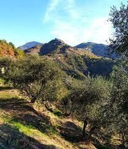 Terreno Agricolo in vendita a Calci