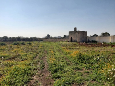 Terreno Agricolo in vendita a Manduria