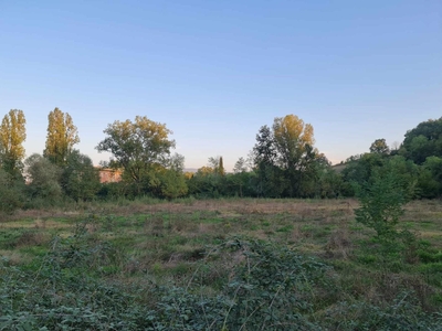 Terreno Agricolo in vendita, Colle di Val d'Elsa gracciano dell'elsa