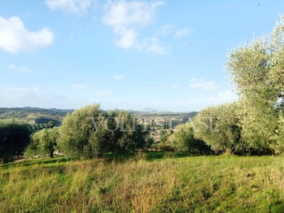 Terreno in vendita, Riano belvedere