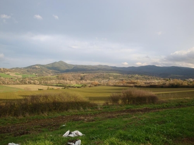 terreno agricolo in vendita a Volterra