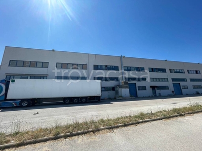 Capannone Industriale in vendita a Martinsicuro via dei Castani, 50