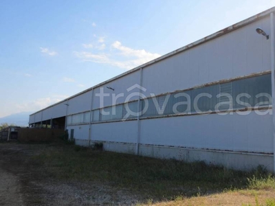 Capannone Industriale in vendita a Rosciano contrada Tratturo, 20