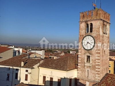 Villa nuova a Cologna Veneta - Villa ristrutturata Cologna Veneta