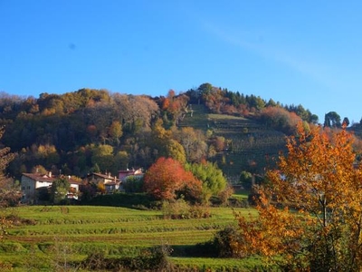 Terreno Agricolo in vendita in via alla guardina, Sotto il Monte Giovanni XXIII