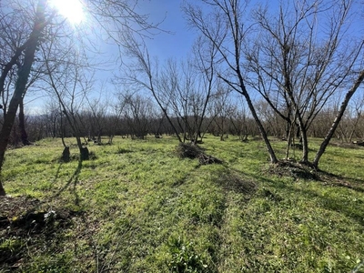 Terreno in vendita a Montefredane