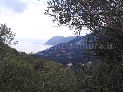 Terreno agricolo in vendita a Alassio