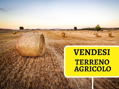 Terreno agricolo in vendita a Borgo Veneto