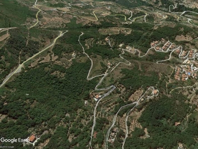 Terreno agricolo in vendita a Falconara Albanese