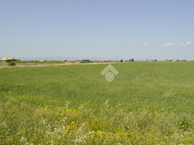 Terreno agricolo in vendita a Foggia