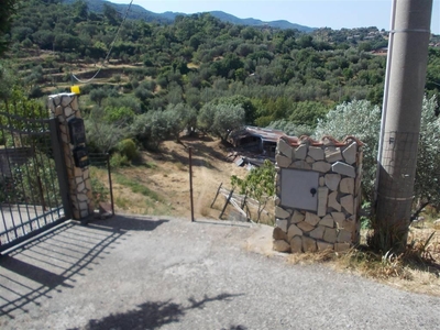 Terreno agricolo in vendita a Mendicino