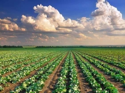 Terreno agricolo in vendita a Stra