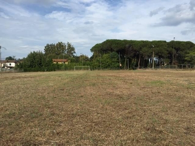 Terreno agricolo in vendita a Viareggio