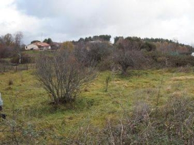 Terreno edificabile residenziale in vendita a Dipignano