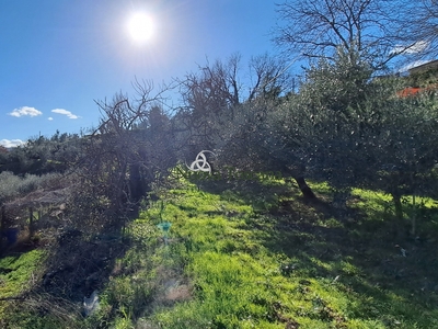 Vendita Terreno Agricolo in AREZZO