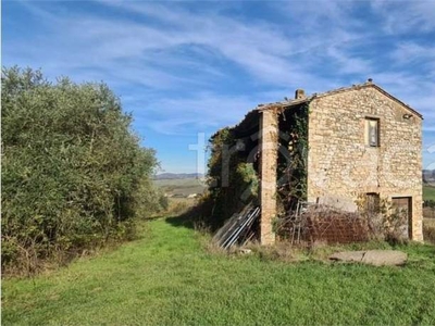 Azienda Agricola in vendita a Todi altobello Chiaravalle, 56A
