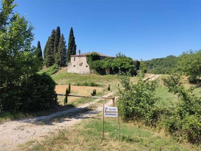 Azienda Agricola in vendita a Todi canonica, 0