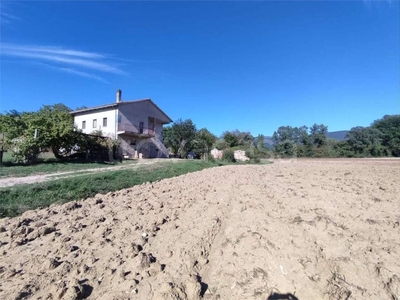 Azienda Agricola in vendita a Todi collevalenza, 0