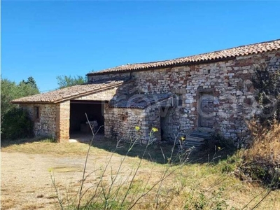 Azienda Agricola in vendita a Todi loc. Santa Maria Maddalena, 0
