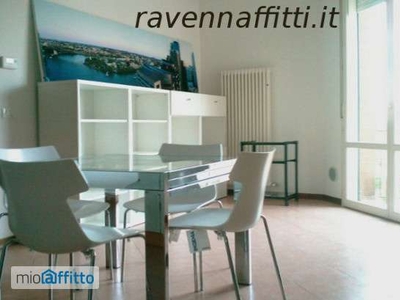 Bilocale arredato con terrazzo Ravenna