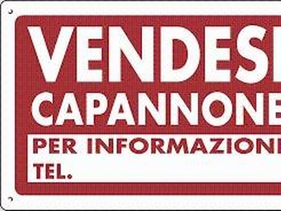 Capannone Industriale in vendita a Loreggia