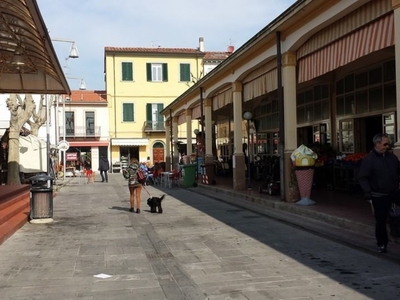 Locale Commerciale in vendita a Viareggio via Vittorio Veneto,