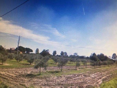 Terreno agricolo in Vendita a Cascina PI