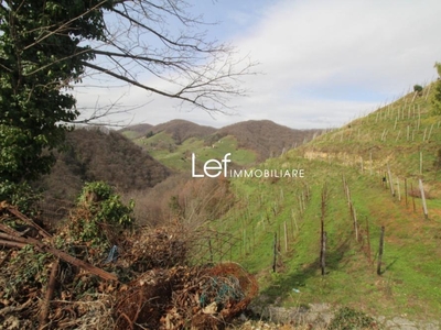 terreno agricolo in vendita a Farra di Soligo