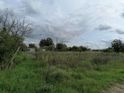 Terreno agricolo in Vendita a Ponsacco Via Valdera Pontedera, 56038