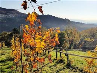 Vendita Casa indipendente a Roccastrada