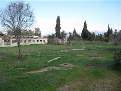 Indipendente - Azienda agraria a Santisidoro, Quartucciu