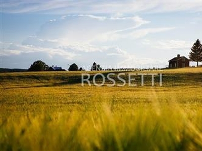 Terreno agricolo in buono stato di 19680 mq. a Gavena