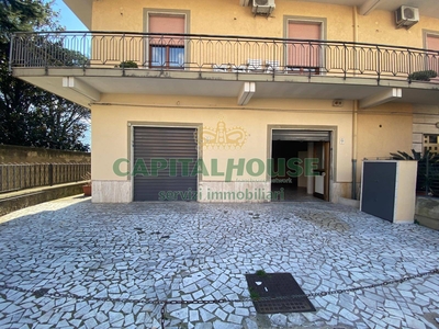 Attività / Licenza in affitto a Castel San Giorgio - Zona: Castelluccio