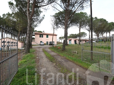 Azienda agricola in vendita a Magliano In Toscana