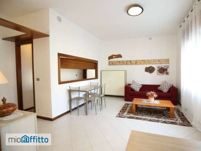 Appartamento arredato Montecchio Maggiore