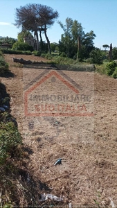 Terreno Agricolo in affitto a Giugliano in Campania - Zona: Varcaturo