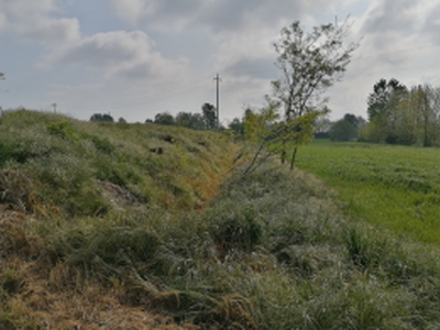 terreno agricolo in vendita a Pontevico