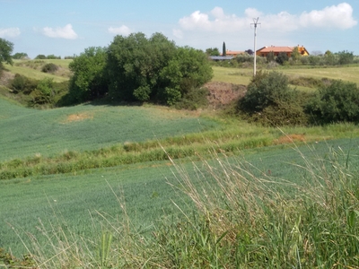 Terreno agricolo in vendita a Tarquinia - Zona: Campagna
