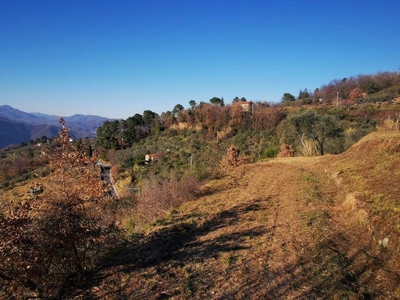 Annesso agricolo in vendita a Ponzano Superiore - Santo Stefano di Magra