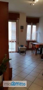 Appartamento arredato con terrazzo Piacenza