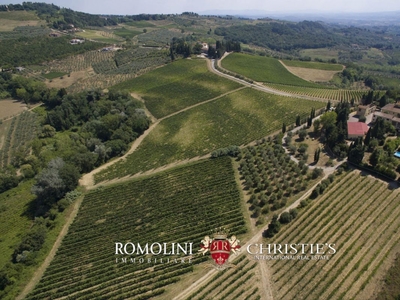 AZIENDA AGRICOLA BIOLOGICA IN VENDITA A MONTESPERTOLI, TOSCANA