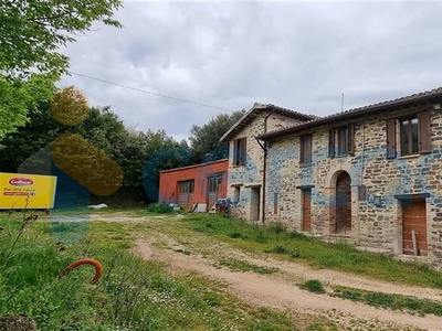Azienda agricola da ristrutturare in vendita a San Severino Marche