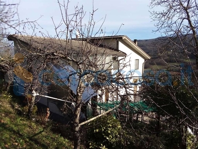 Casa semi indipendente in vendita in Via Lina Pagliughi 12, Albareto