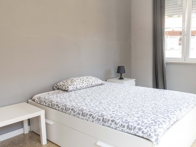 Luminosa stanza in affitto in appartamento con 4 camere da letto, Trieste