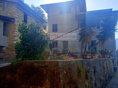 Rustico / casale di 200 mq a Camaiore