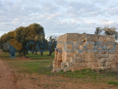 Rustico casale in vendita a San Vito Dei Normanni