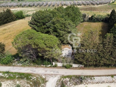 terreno agricolo in vendita a Borgagne