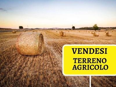 Terreno agricolo in vendita a Latignano - Cascina